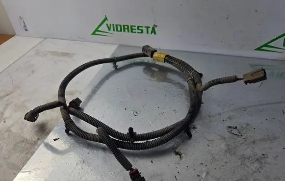 Opel Antara Parking sensor (PDC) wiring loom 96628189 2L02DEYH10050