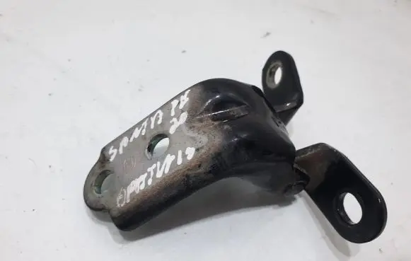 Hyundai Santa Fe Rear door lower hinge