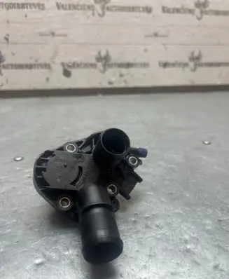 Thermostat/thermostat housing
