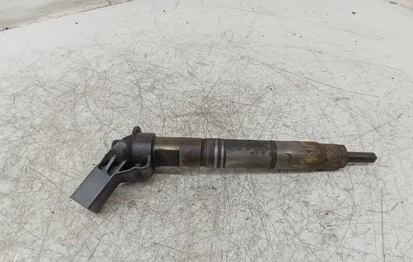 Mercedes-Benz E W211 Fuel injector A6420700587 0445115027