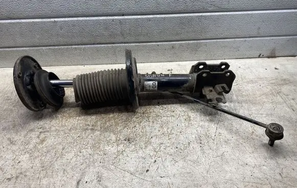 Opel Signum Front shock absorber/damper 824903554592