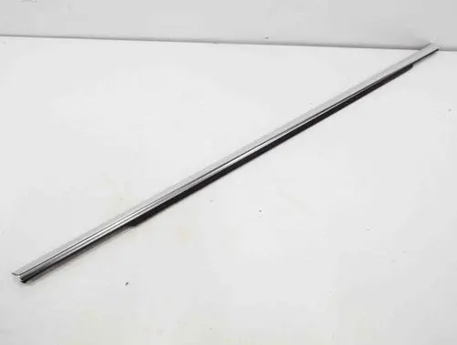 Rear door glass trim molding