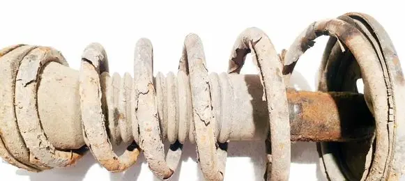 Lexus RX 300 Rear coil spring