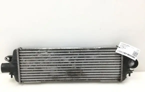 Opel Vivaro Intercooler radiator 93850451