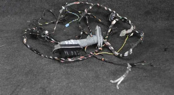 BMW X3 F25 Front door wiring loom 9228131