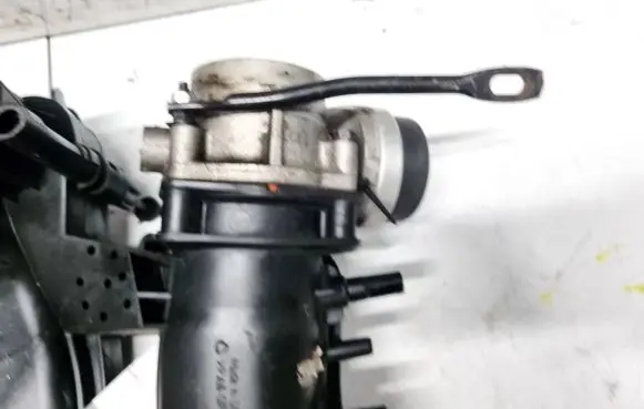 Dodge Journey Throttle valve 04861691AA