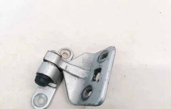Rear door lower hinge