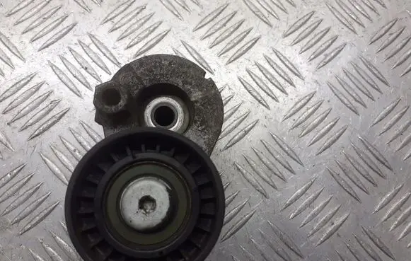 Renault Megane II Alternator belt tensioner pulley 8200460446