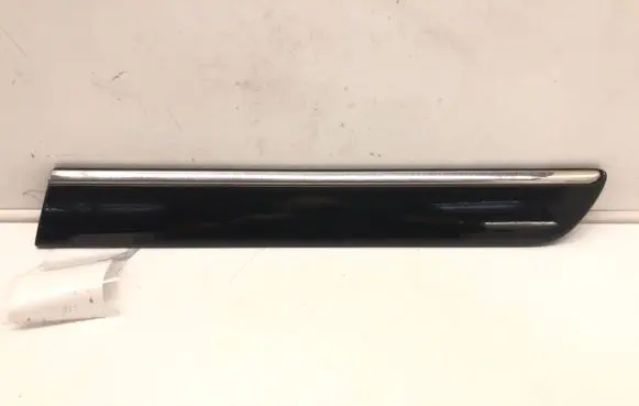 Mercedes-Benz CL C215 Rear door trim (molding) A2156900562