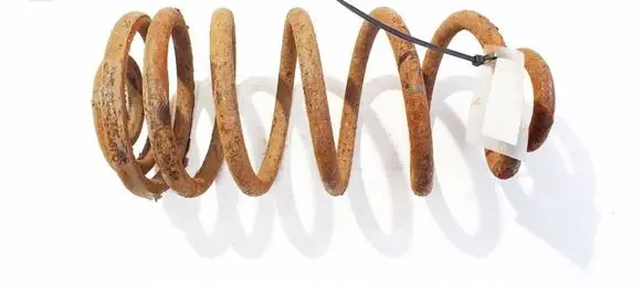 Rear coil spring