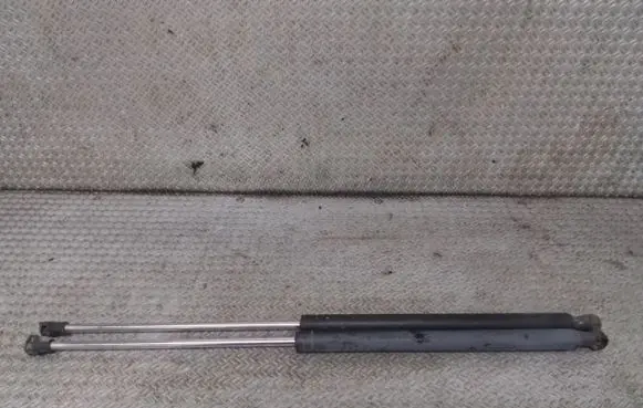 Tailgate/trunk strut/damper