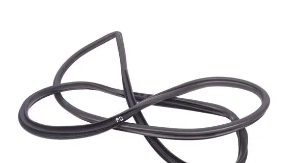 Lexus NX Rubber seal front door (on door) 