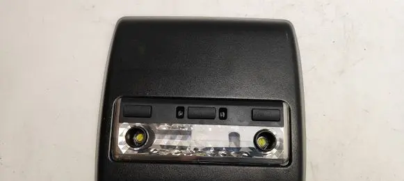 BMW X5 E53 Front seat light 8258037