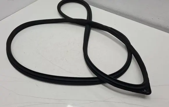 Hyundai Santa Fe Rubber seal front door (on door) 