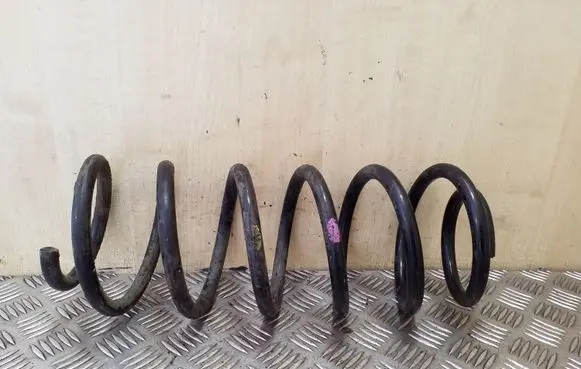 Opel Antara Front coil spring