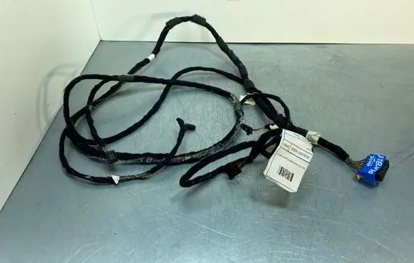 Alfa Romeo Stelvio Other wiring loom 00505518300
