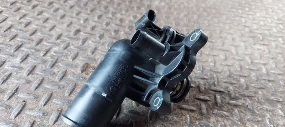 Thermostat/thermostat housing