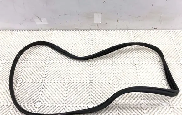 Hyundai Elantra VII Rubber seal front door (on door) 