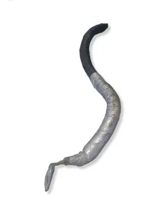 Chevrolet Corvette Negative earth cable (battery) 