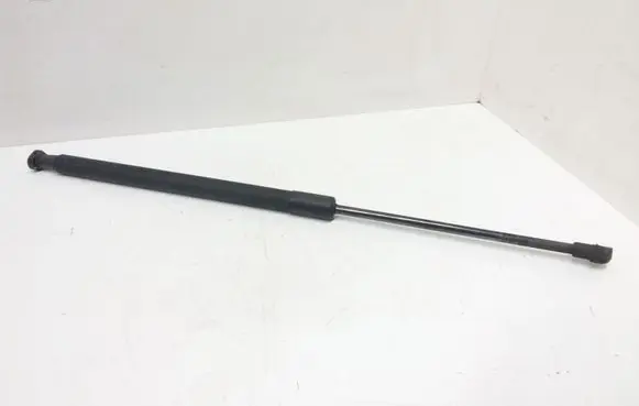 Tailgate/trunk strut/damper