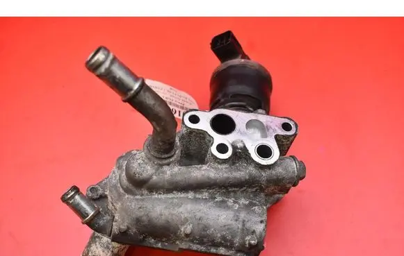 EGR valve