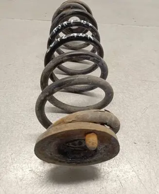 Rear coil spring