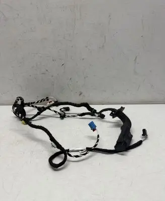 Volkswagen Tiguan Front door wiring loom 5NB971161AF