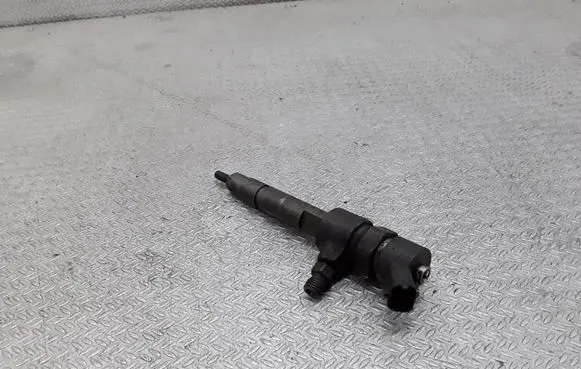 Fiat Punto (188) Fuel injector 0445110019