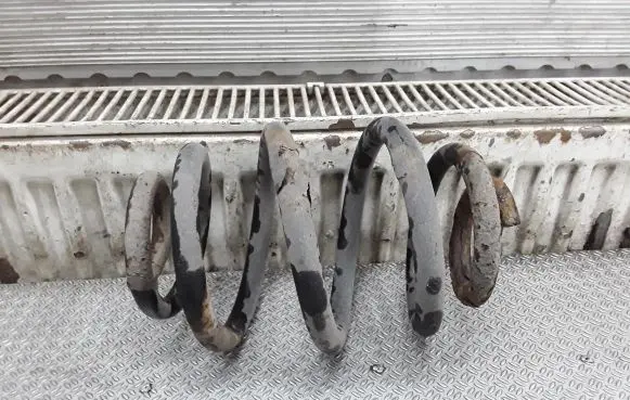 Ford Galaxy Rear coil spring