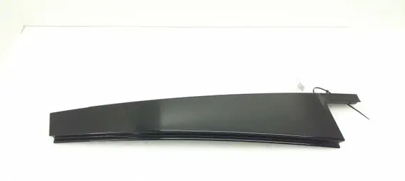 BMW X5 E70 Rear door glass trim molding
