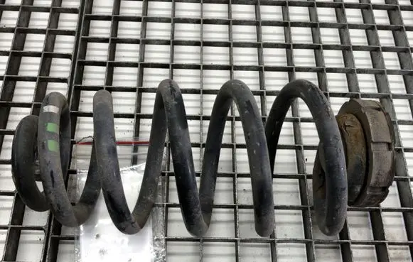 Rear coil spring