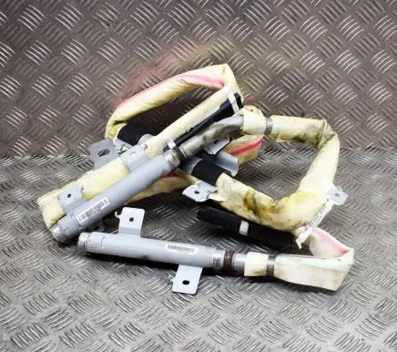 KIA Carnival Roof airbag 850204D500