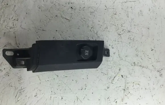 Dodge RAM Panel trim 1HR94TRMAB 0000630705