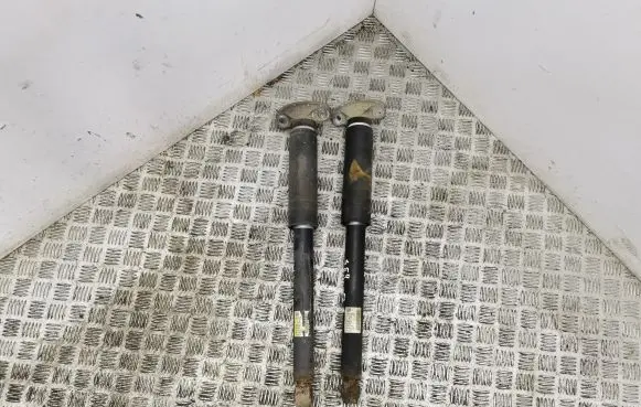 Chevrolet Orlando Rear shock absorber/damper 13279250