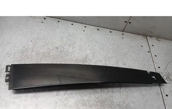 Volkswagen PASSAT B5.5 Front door trim bar