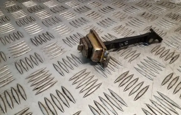 Hyundai Terracan Rear door check strap stopper