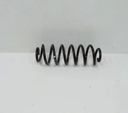 Volkswagen PASSAT B7 Rear coil spring