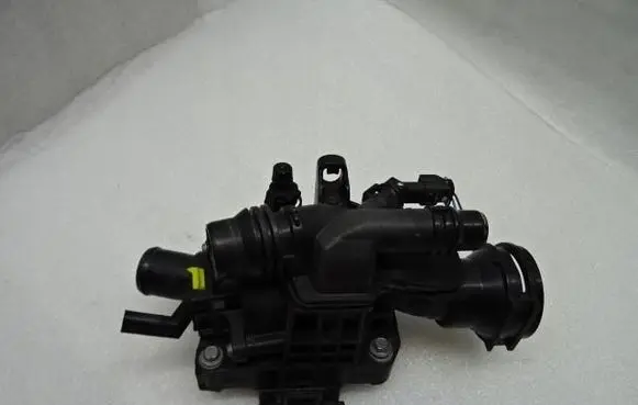 Thermostat/thermostat housing