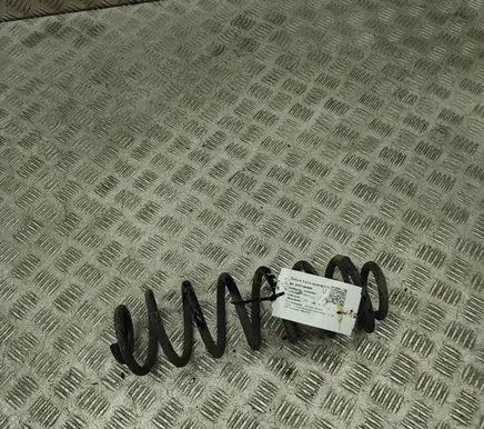 Skoda Kamiq Rear coil spring 2Q0511121CE