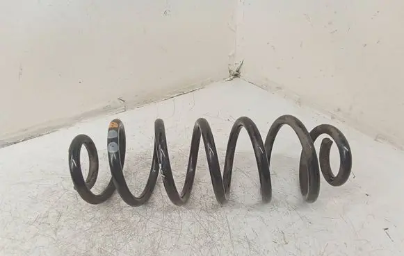 Rear coil spring