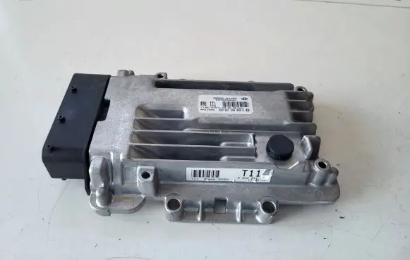 Hyundai Santa Fe Other control units/modules 954403BGB0 9002052156
