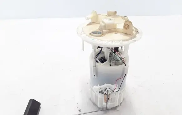 Renault Kangoo II In-tank fuel pump 172024329R