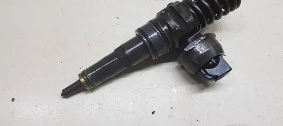 Volkswagen Multivan T5 Fuel injector 070130073N