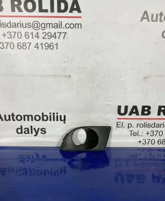 Front fog light trim/grill