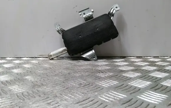 Front door airbag