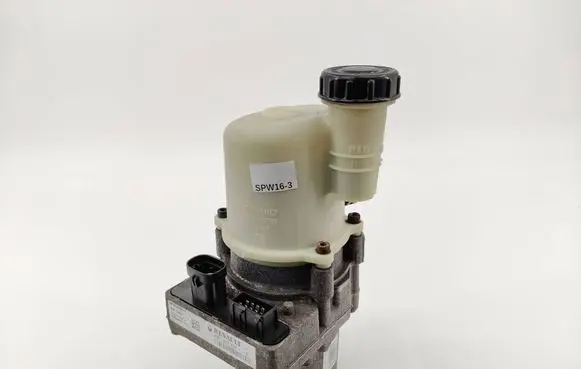 Dacia Duster Power steering pump 491107773R B5100509F