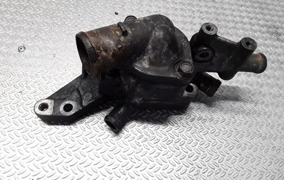 Thermostat/thermostat housing