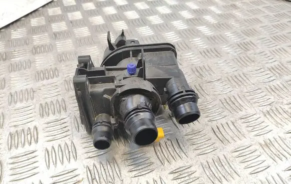 Citroen C4 III e-C4 Thermostat 9812131480 110390PS