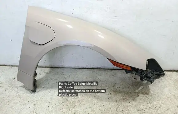 Porsche Taycan 9J1 Fender 9J1915737AC