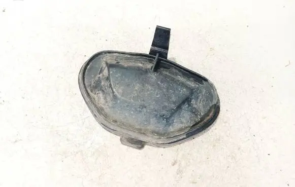 Headlight/headlamp dust cover
